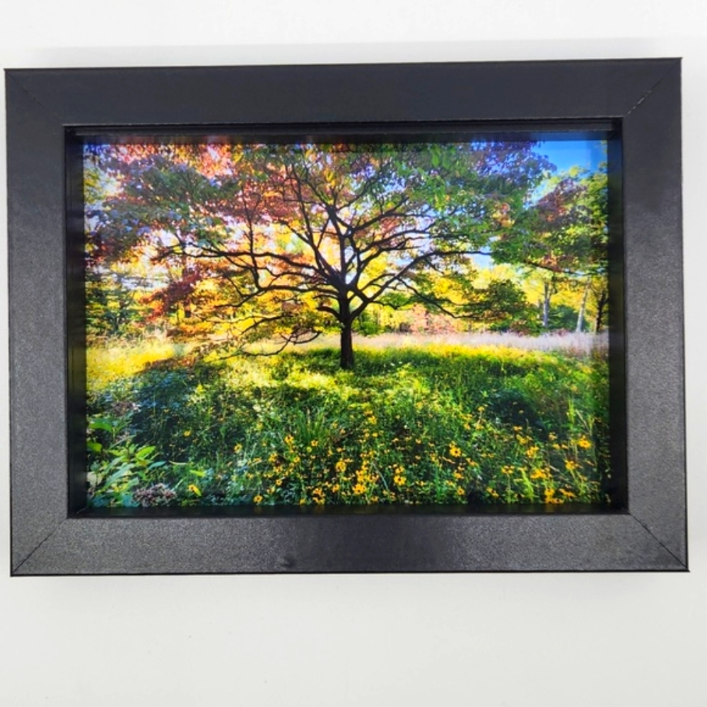 Original Art Photograph by Butterfly Rising Designs - Picture 4 of 6